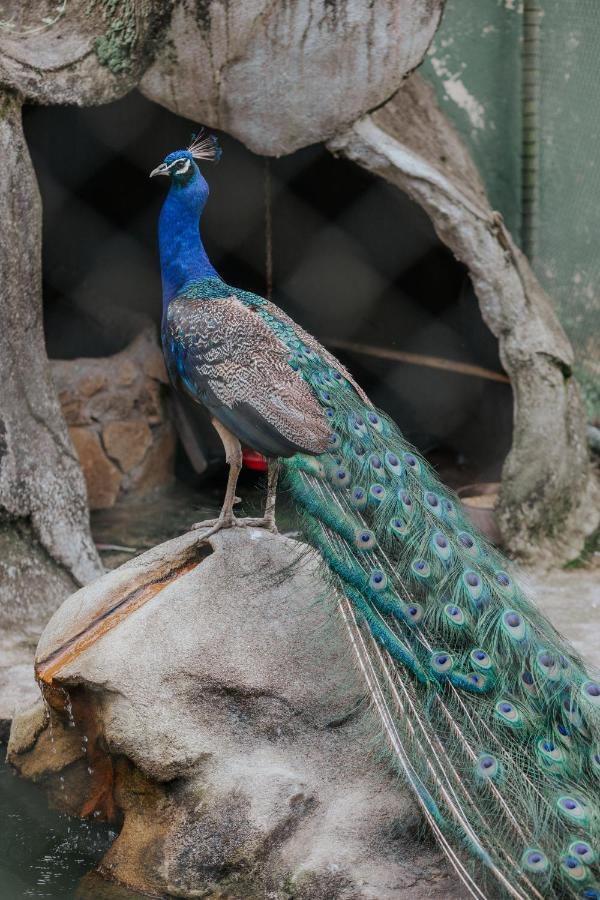 Pousada Cantagalo Itaipava Exteriér fotografie